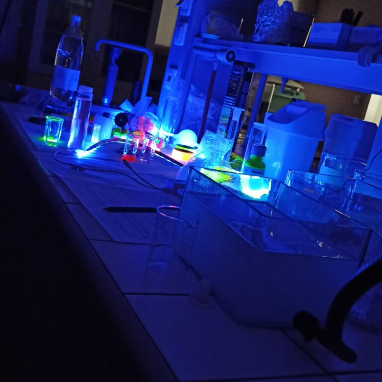 tmp_5ba55c77-4bc5-4547-834a-55dce676b47c